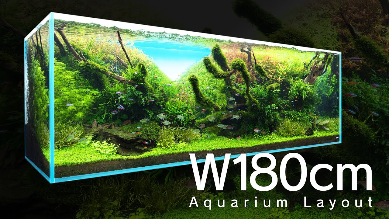 [ADAview] 180cm Aquarium Layout 枯淡の趣【EN/JP/CH Sub】
