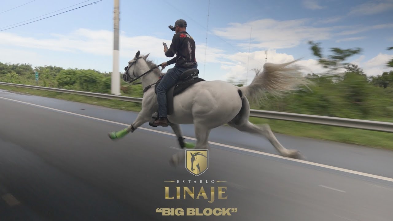 BIG BLOCK - LOZADA