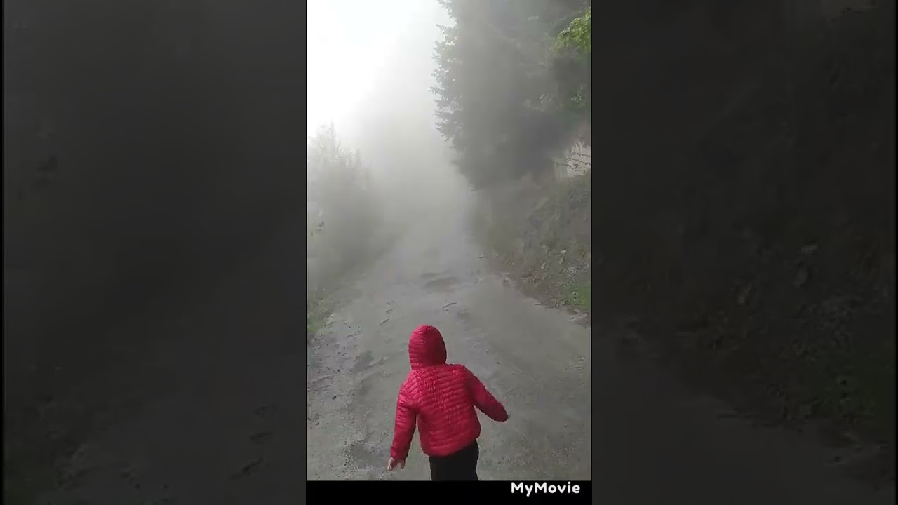 şehit Eren Bülbül'ün kabri ve evi Trabzon köprüyanı köyü