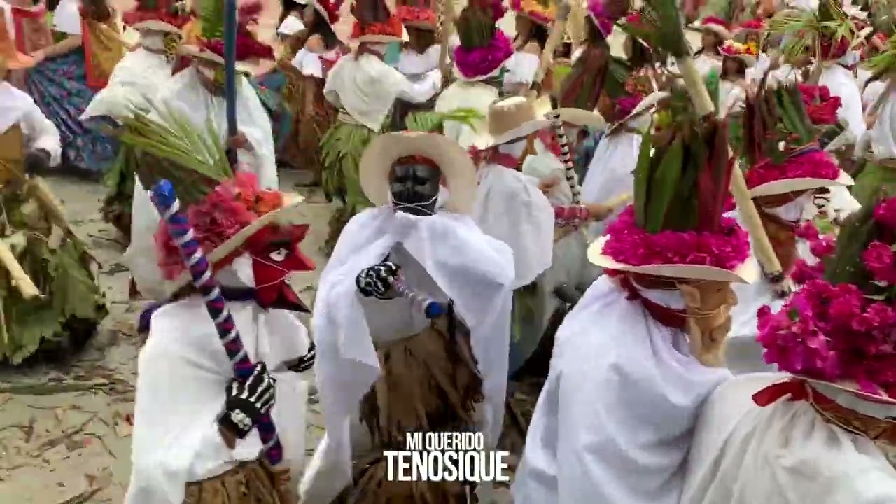 VIVE LA DANZA DEL POCHÓ TENOSIQUE 2024