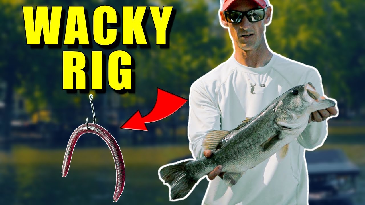 WACKY RIG tips to Catch HUGE Bass!