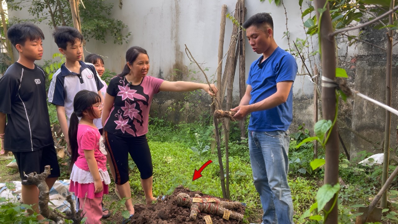 Kinh Hoàng Mảnh Đất Bị Trấn Yểm Hình Nhân Khiến Gia Đình Chăn Nuôi Thất Bại
