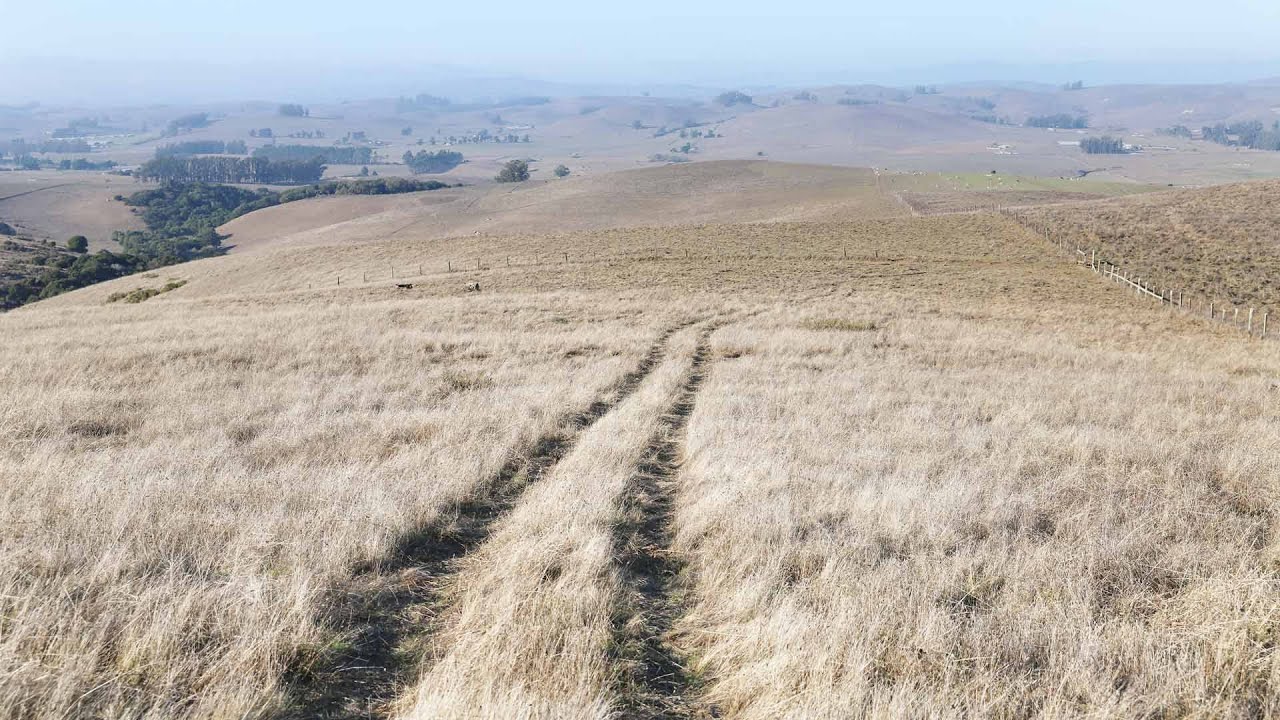 Farmland Protection and Stewardship in 2022 - Here's the Latest from MALT