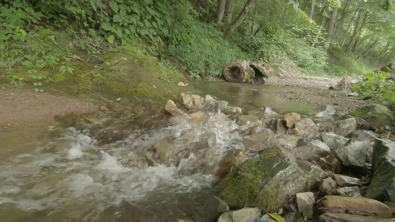 Relaxing Mountain Stream in Southwest Virginia (6 hours)