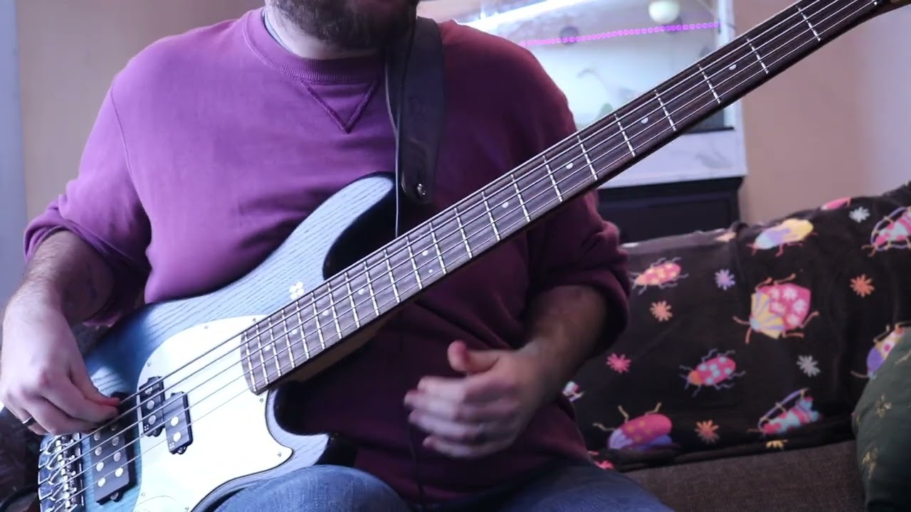 Remember The Time- Michael Jackson Bass Cover