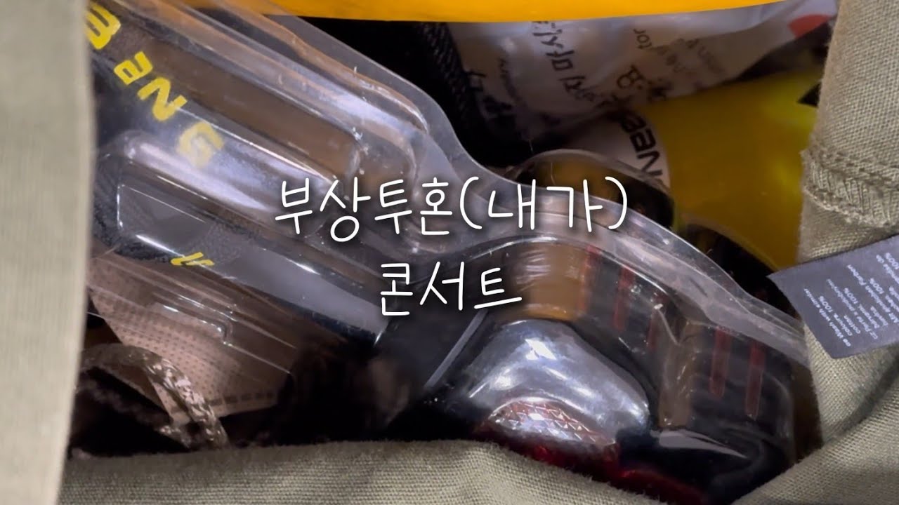 부상투혼 (내가) 콘서트