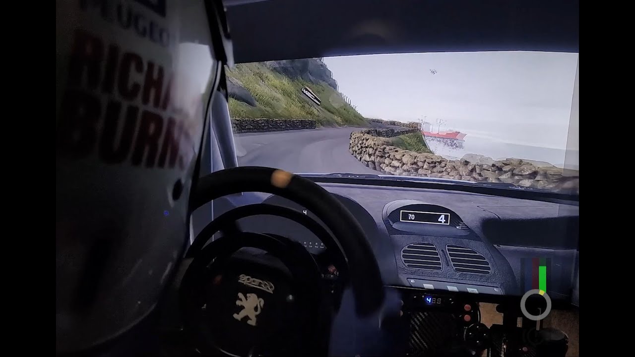 WRC Generations | Peugeot 206 WRC | Wales Rally GB