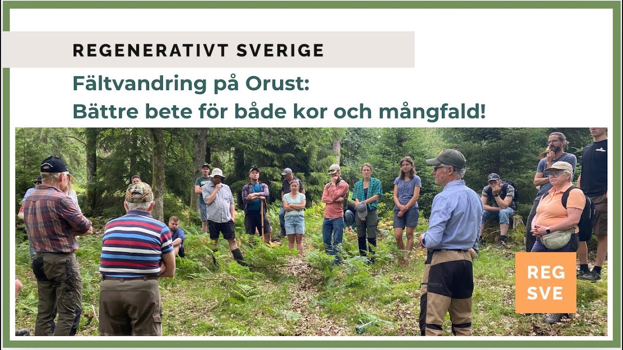 F&auml;ltvandring p&aring; Orust 9 juli 2025: B&auml;ttre bete f&ouml;r b&aring;de kor och m&aring;ngfald