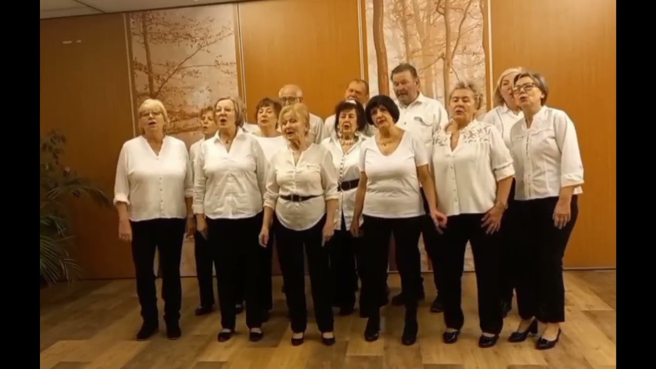 Zespół Śpiewaczy Appassionata  - Wellerman