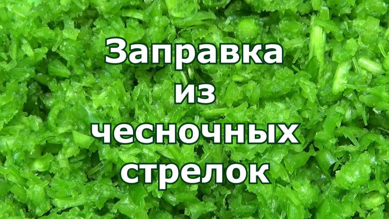 Заправка из чесночных стрелок на зиму. Рецепт заготовки из чесночных стрелок, которая не пропадет.