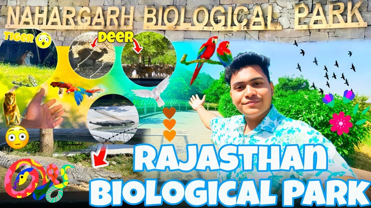 Rajasthan Biological Park (Nahargarh) 🤓🔥|| Bishnupur to Rajasthan || #vlog #park #viralvideo #crazy 