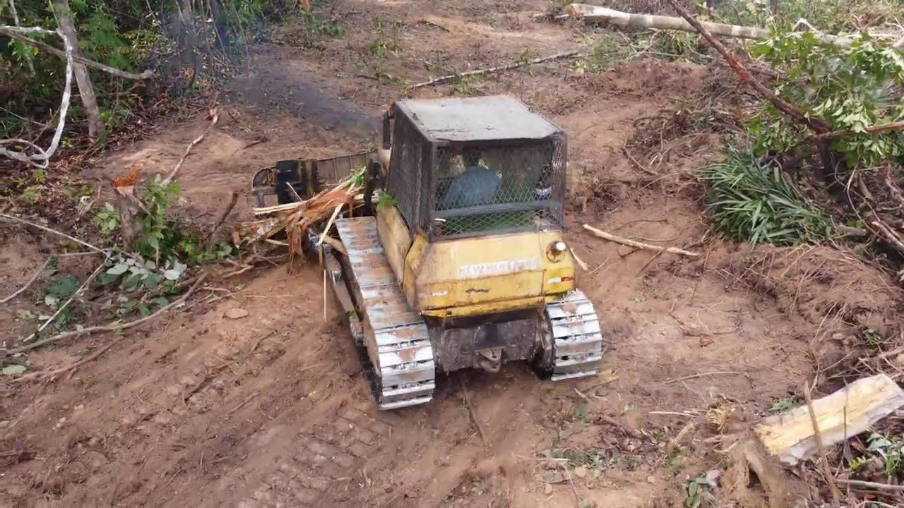 ABERTURA DE NOVOS PASTOS 🌱🐂 COM TRATOR DE ESTEIRA NEW HOLLAND D170 #tractor #farming #automobile