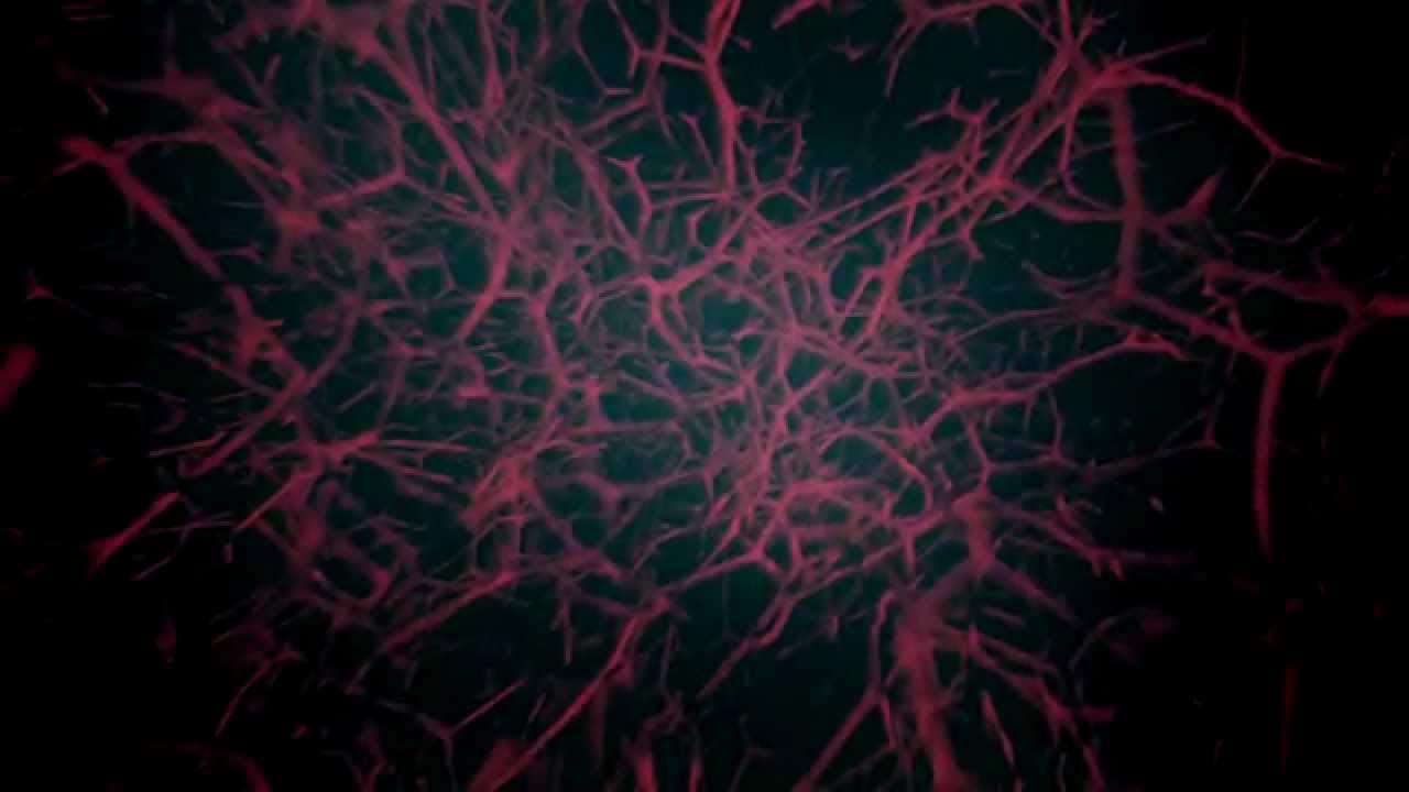 Dasha Rush - Outer Space /Sleepstep /Raster-noton/ Official Video