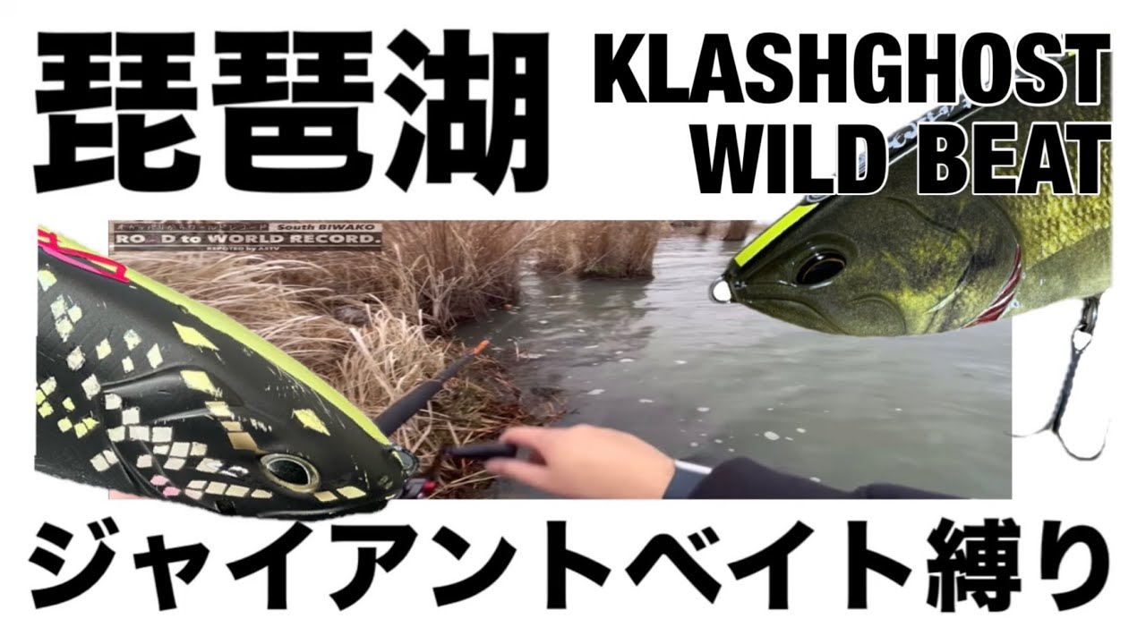 【琵琶湖遠征ジャイアントベイト縛り】クラッシュゴースト & ワイルドビート（KLASHGHOSTとWILDBEATで春を探す❶） 冬　2月　バス釣り