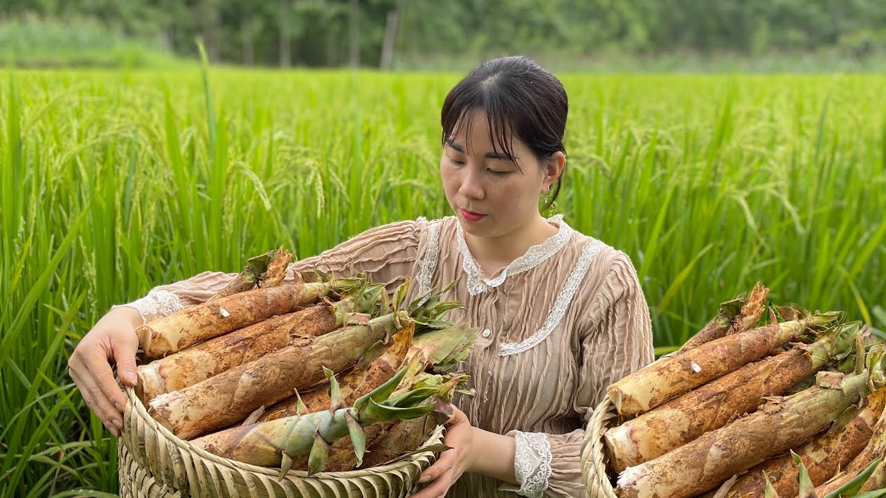 A journey filled with hardship and a struggle for survival - venturing into the forest to harvest...