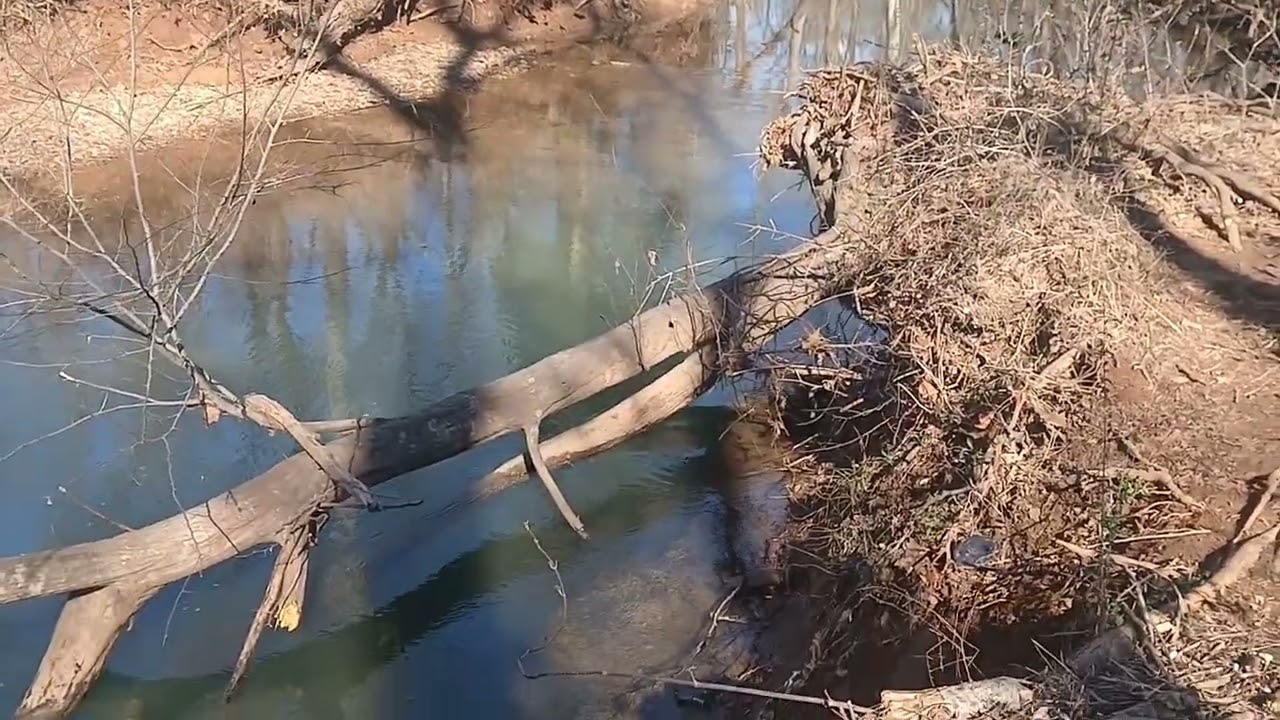 Indian Creek, Nature ASMR #alabama