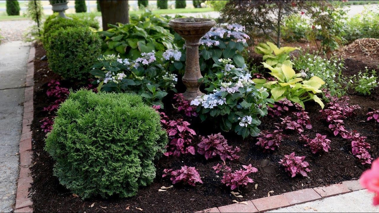 Companion Planting with Tuff Stuff Ah-Ha® Hydrangea | Proven Winners Garden Ideas