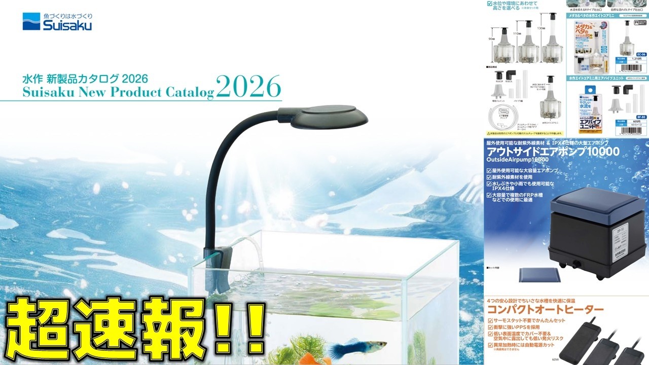 【速報】水作が2026年度の新商品を発売したので、ああだこうだ。【ふぶきテトラ】