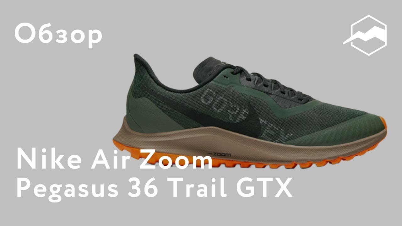Кроссовки Nike Zoom Pegasus 36 Trail GTX. Обзор