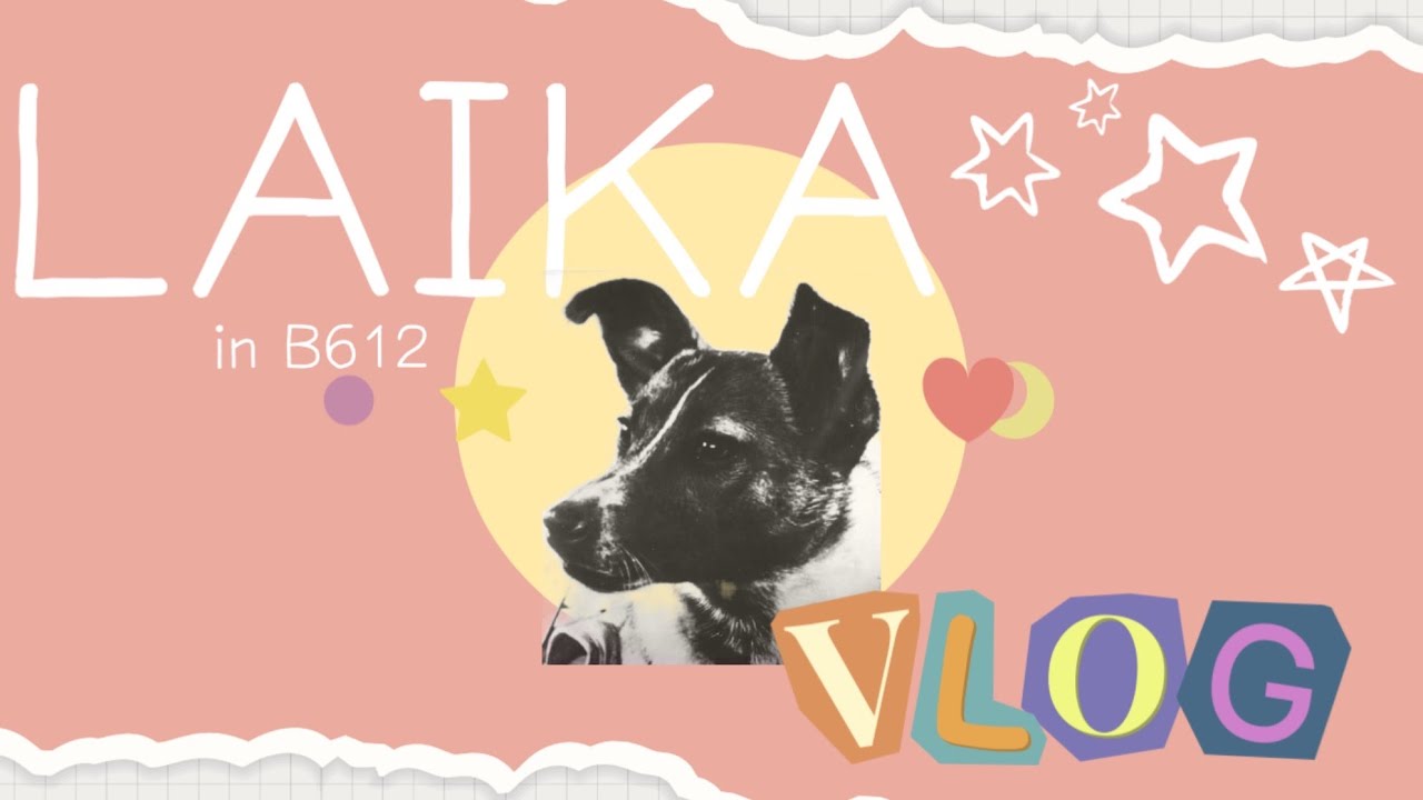 행복했던 뮤지컬 라이카💜🐶다시만나보기🚀