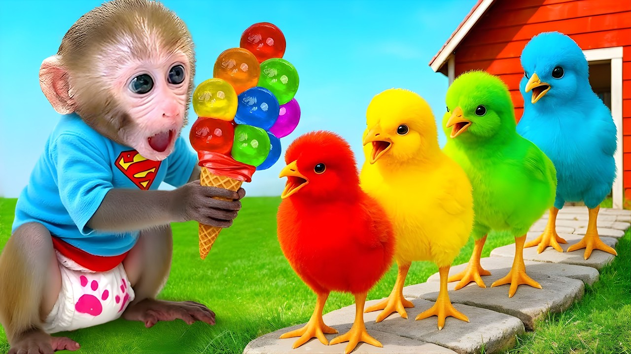 Monkey Bon Bon’s Happy Day with Cute Ducks|Nursery Rhymes & Kids Songs |Bobby Kids Songs#animalshome
