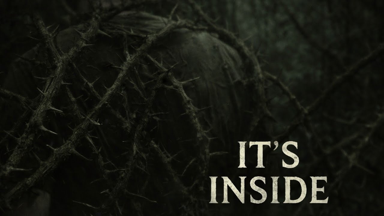 Something is growing in the woods