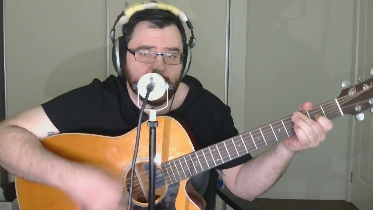The Remedy (Puscifer cover)