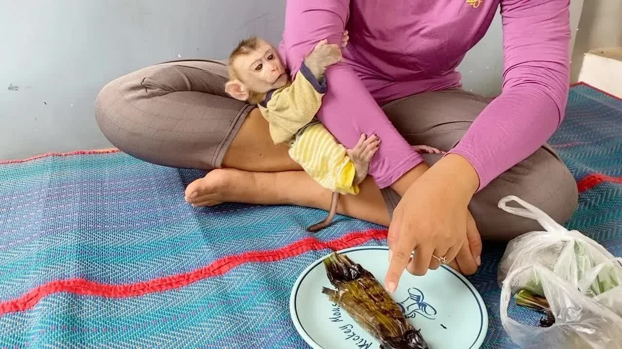 DAM Get Moody Does Not Want To Eat Grill Banana