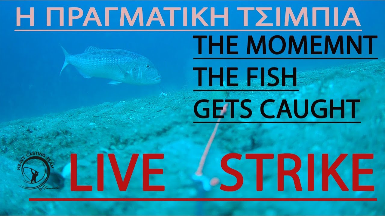 Η Πραγματική Τσιμπιά - The moment the fish gets caught #HEAVYCASTING #ψαρεμα #underwater