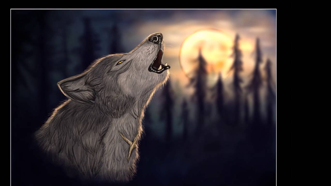 Werewolf-We Must Be Killers