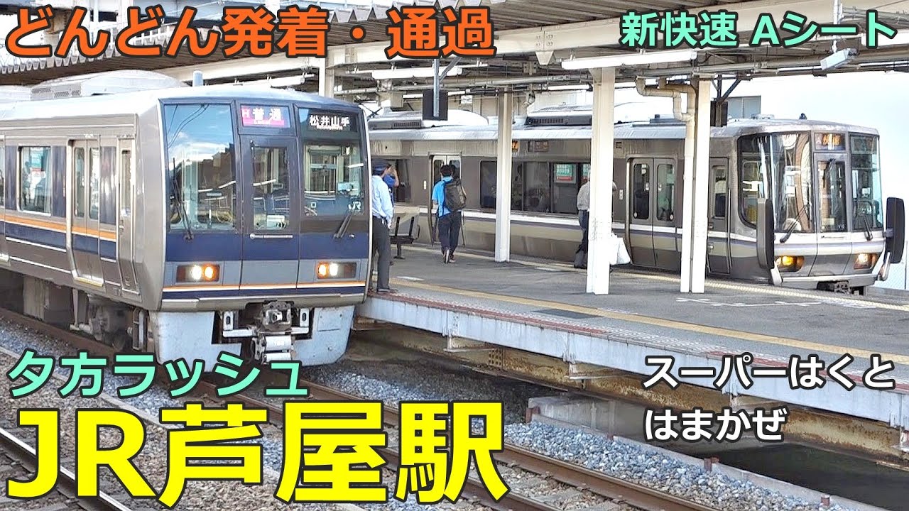 JR芦屋駅 3🚃どんどん電車が発着・通過！●新快速、快速、特急 はまかぜ・スーパはくと 等／夕方ラッシュ 神戸線【JR西日本】
