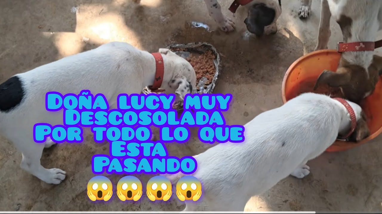 Vean que le esta pasando a doña lucy y😱😱😱   don pablo⁉️⁉️