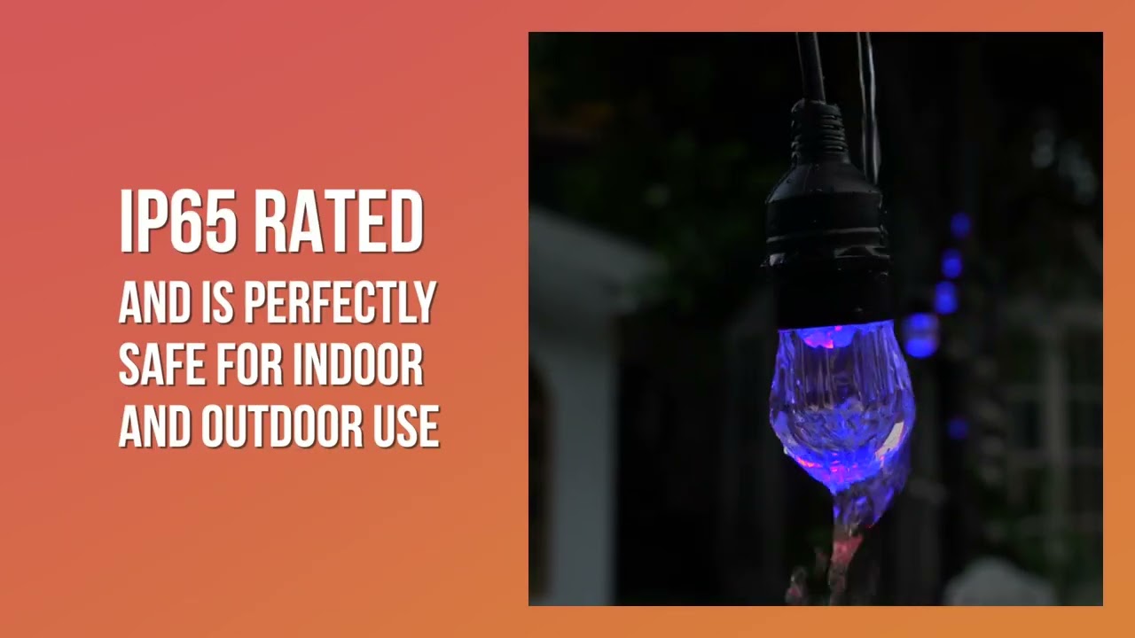 Outdoor or Indoor Smart Festoon String with LED Bulbs | LiquidLEDs