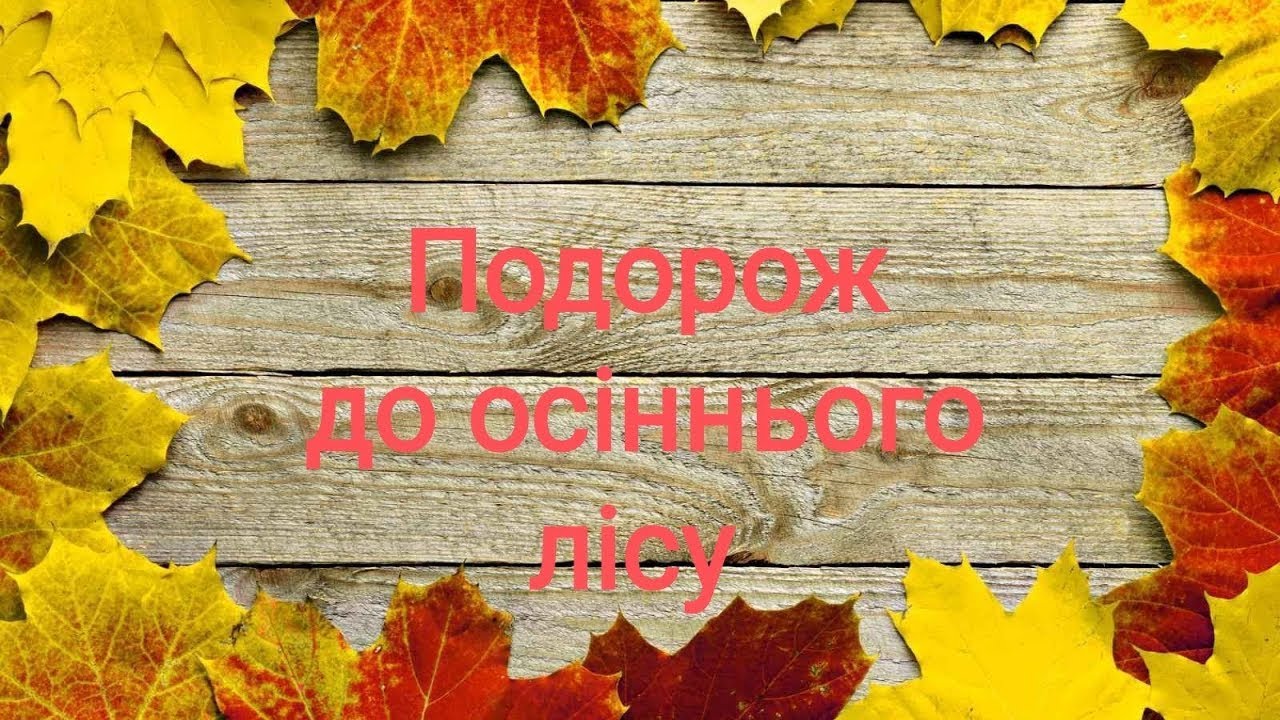 17.11.24/ Розвиток мовлення і культура мовленнєвого спілкування/ 