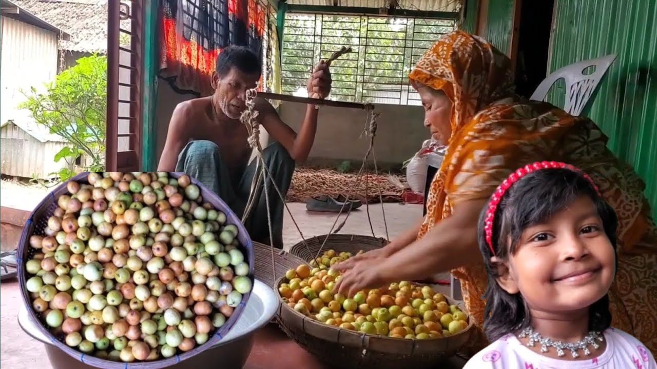 বাবা আজ আবার কার জন্য এতো গুলো বড়ই আনলো/সাথে মামনিকে নিয়ে সকালে কোথায় যেতে হলো।Village Vloger Nopur.