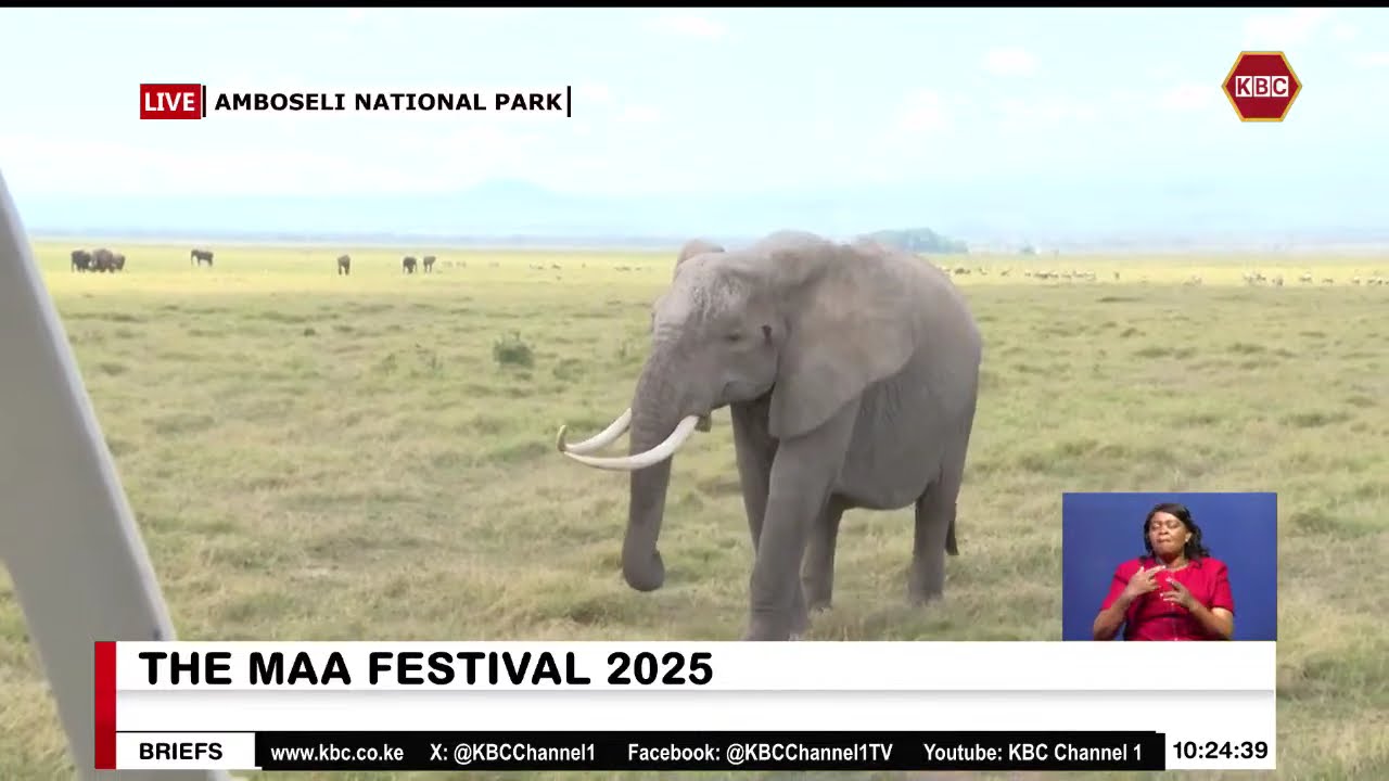 Maa Festival 2025 Underway in Amboseli, Kajiado County