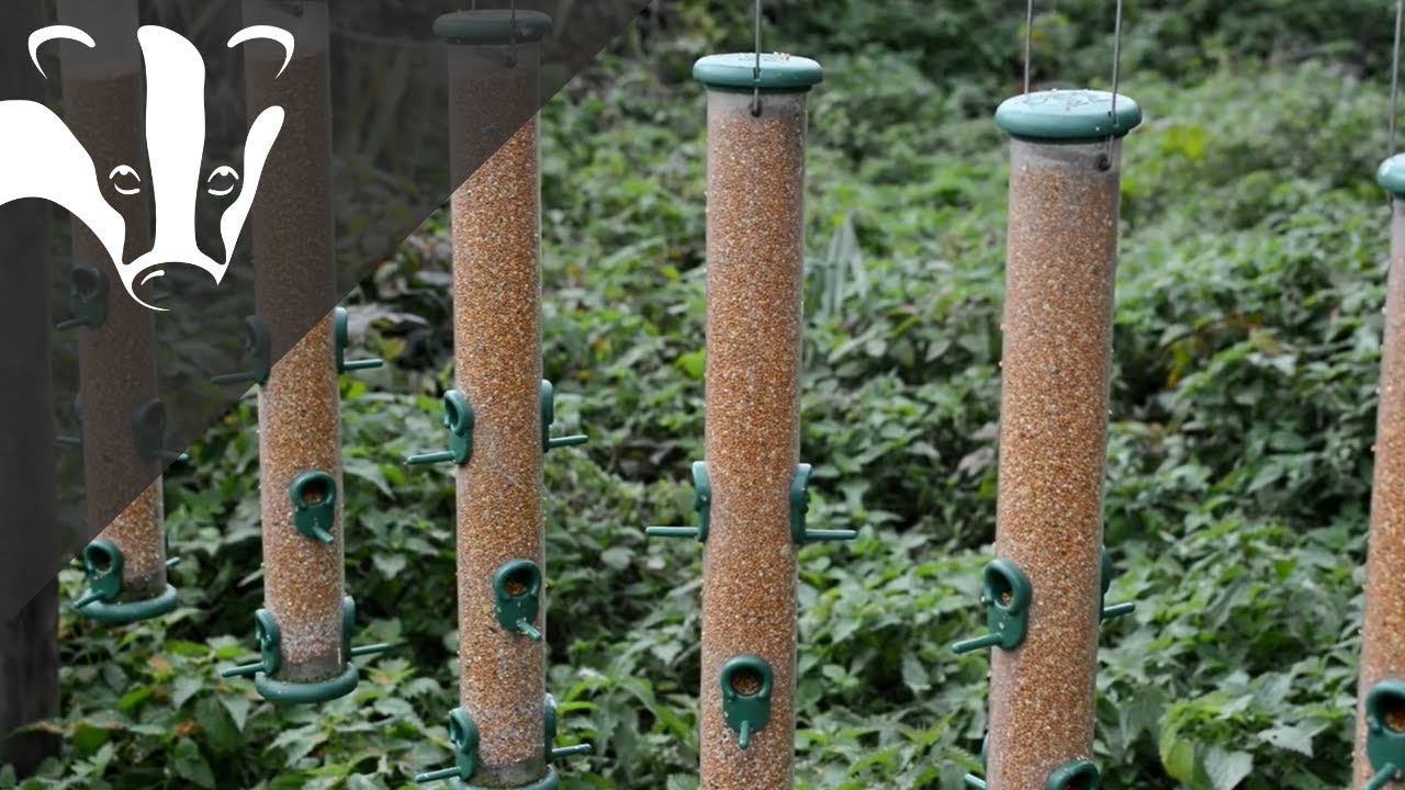 Cleaning Your Feeders