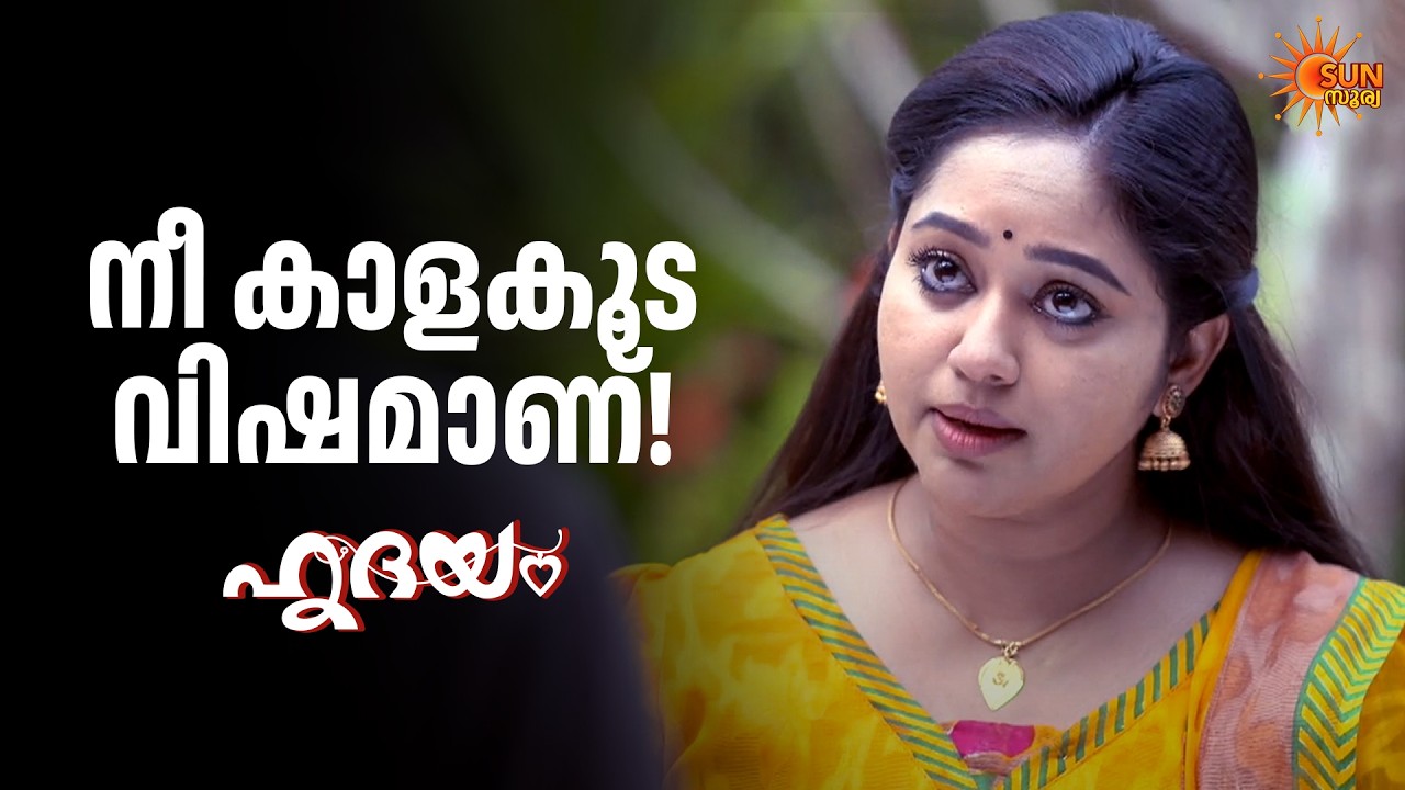 നിന്റെ അമ്മയെ ഞാൻ കുടുക്കും | Hridhayam - Adipoli Scenes | 18 Mar 2026 | Sun Surya