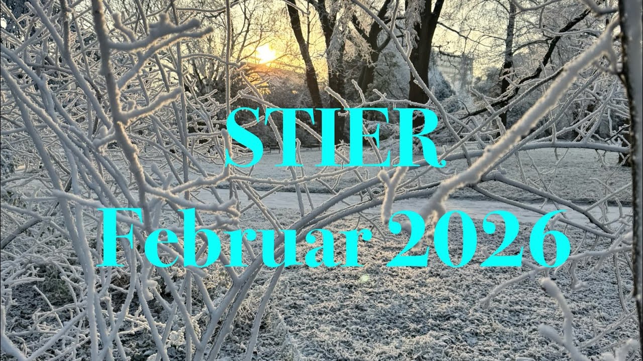 Stier im Februar 2026: Grenzen setzen und Ausrichtung ändern 