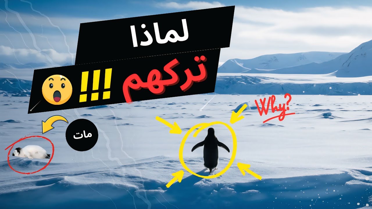 قصة البطريق الذي سار وحيدًا | قصة مؤثرة عن الوحدة والشجاعة