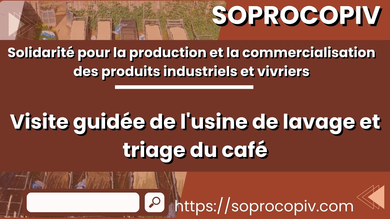 SOPROCOPIV - Visite guidée de l'usine de lavage et triage du café