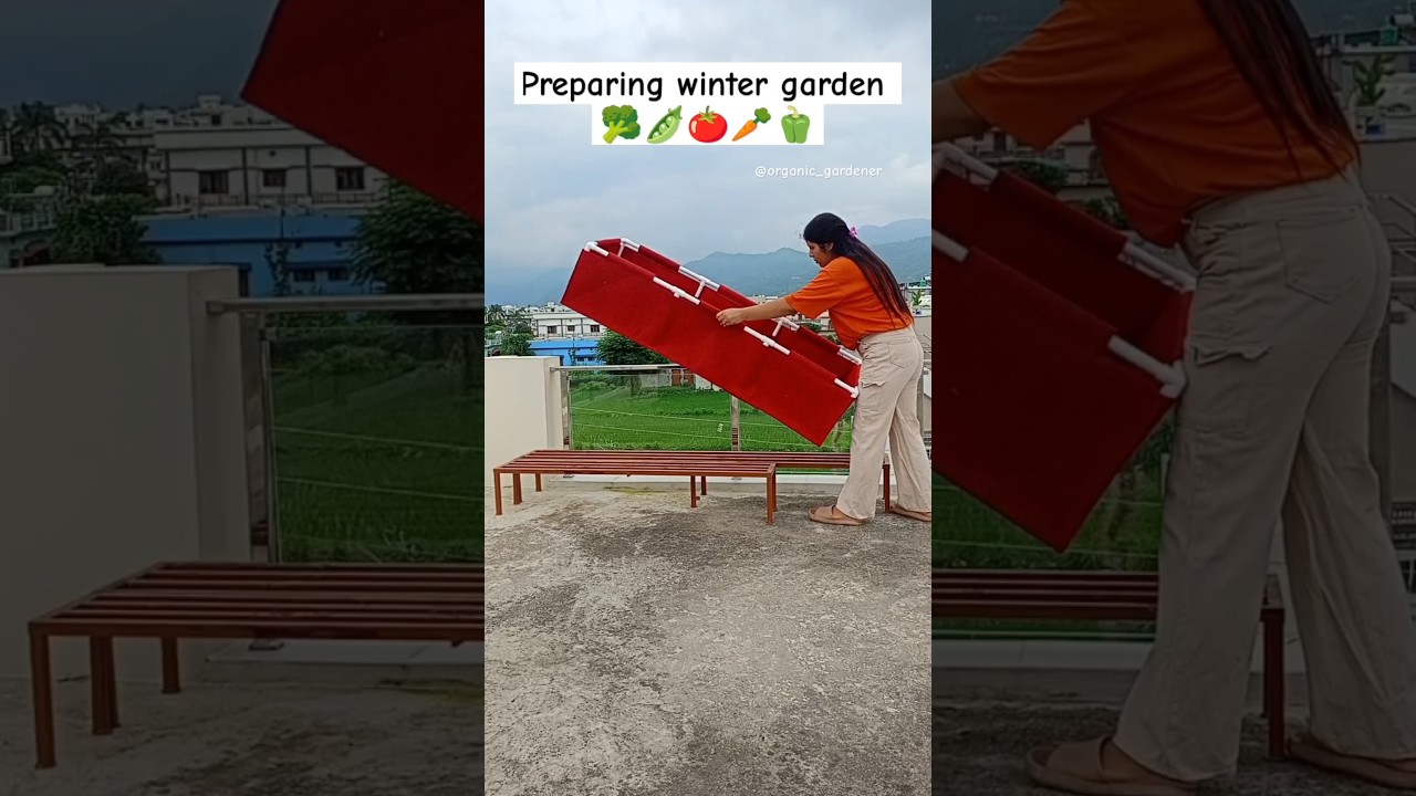 How to start gardening #terracegarden #vegetables #youtubeshorts