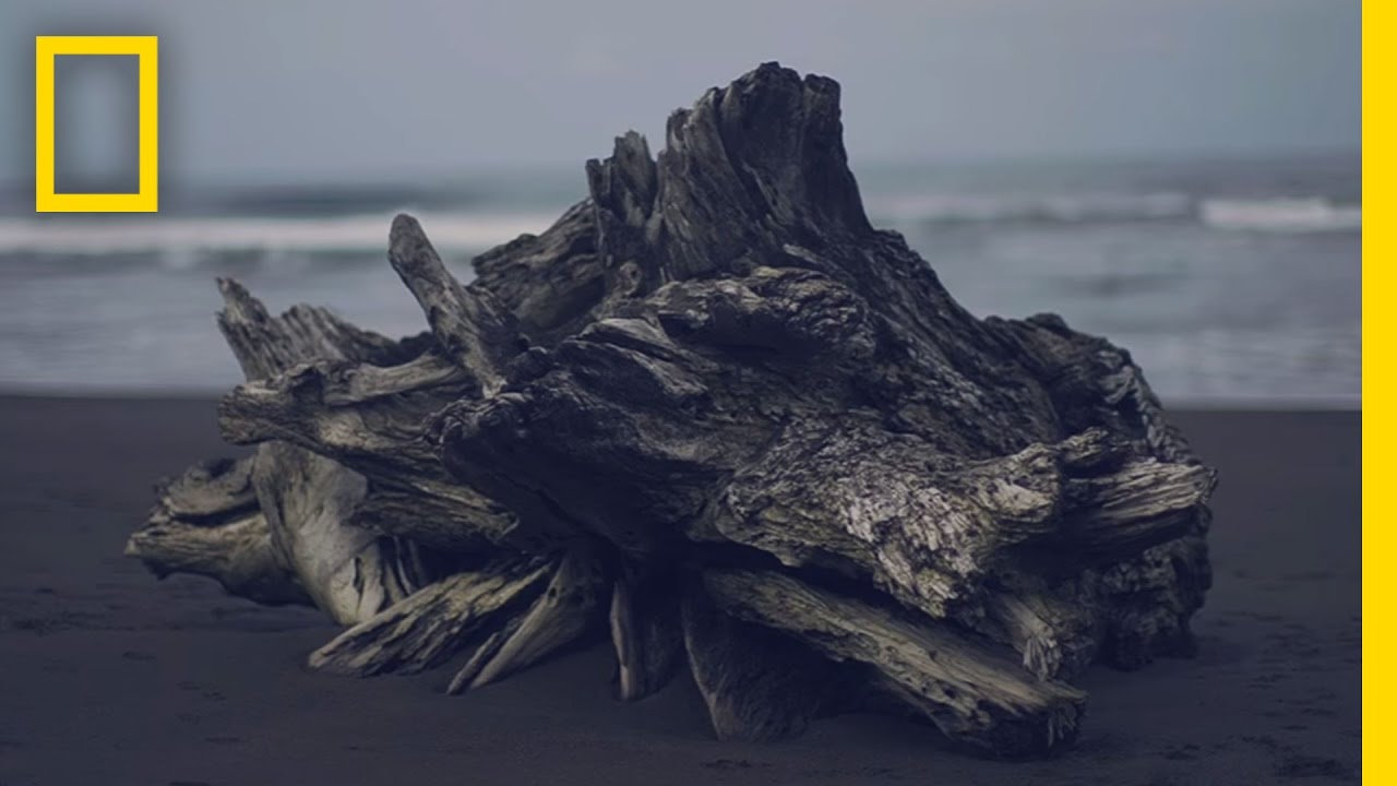 Experience Costa Rica’s “Pura Vida” in Under 3 Minutes | Short Film Showcase