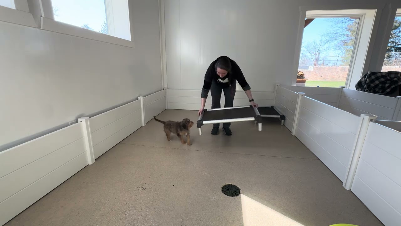 Maisie Training Session 03/02