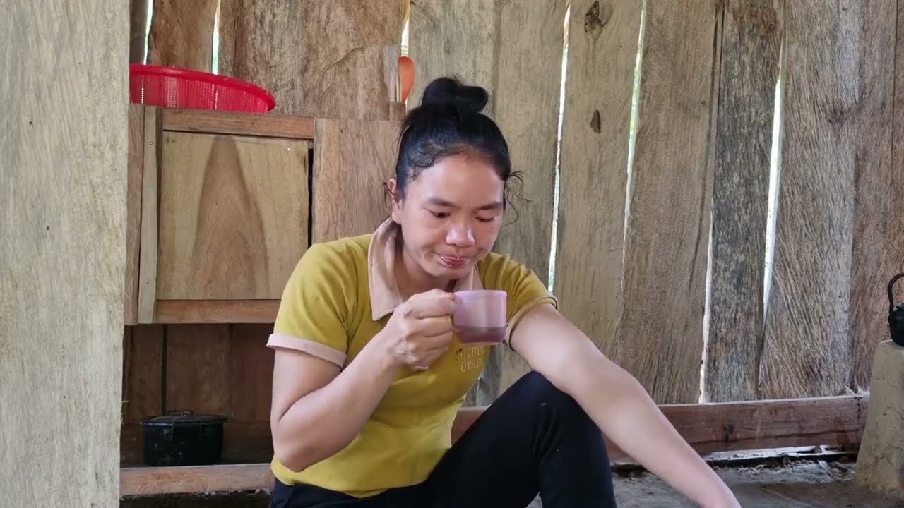 Our Life, Harvesting Fruit To Bring To Maket, 360 Days In Camp | lý thị sinh