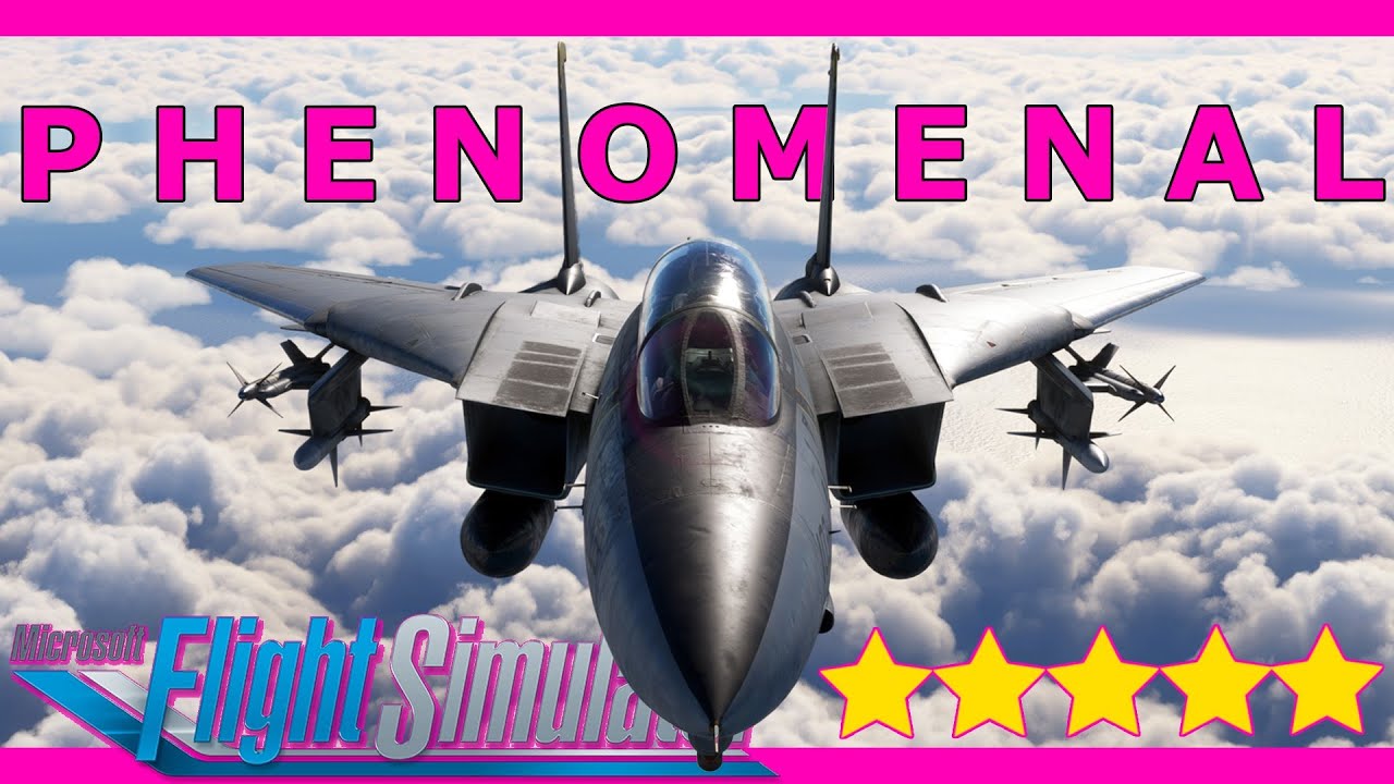 The Best MSFS Aircraft? Heatblur F-14 Tomcat Full Review with a Real Pilot
