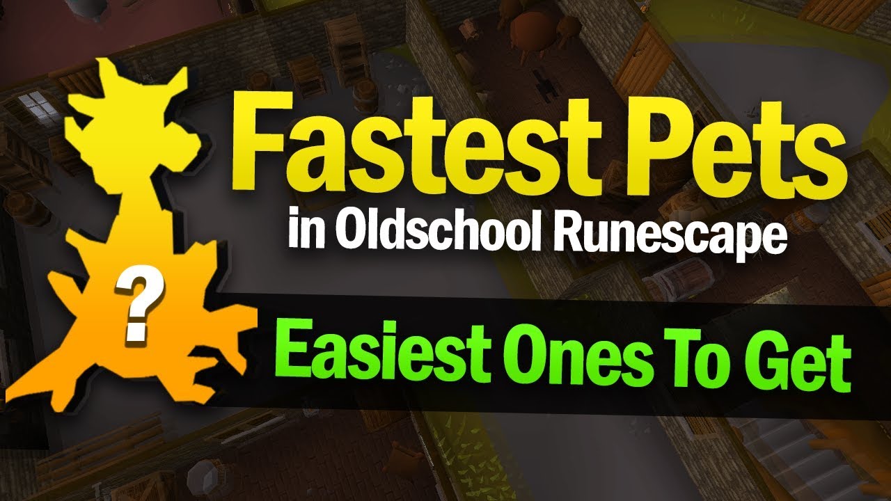 Easiest Pets To Get in OSRS (Fastest Drop Rate)