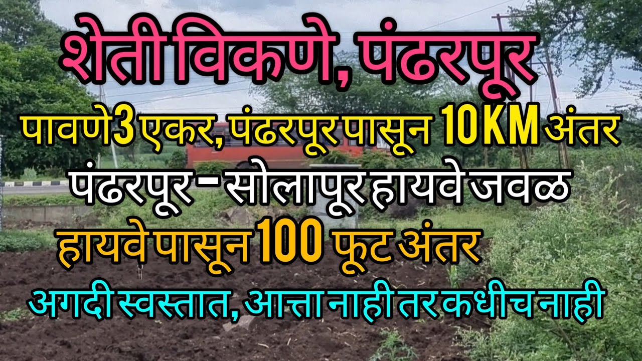 पंढरपूर, शेती विकणे पावणेतीन एकर शहरापासून 10 km, पंढरपूर - सोलापूर हायवे पासून 100 फूट अंतर