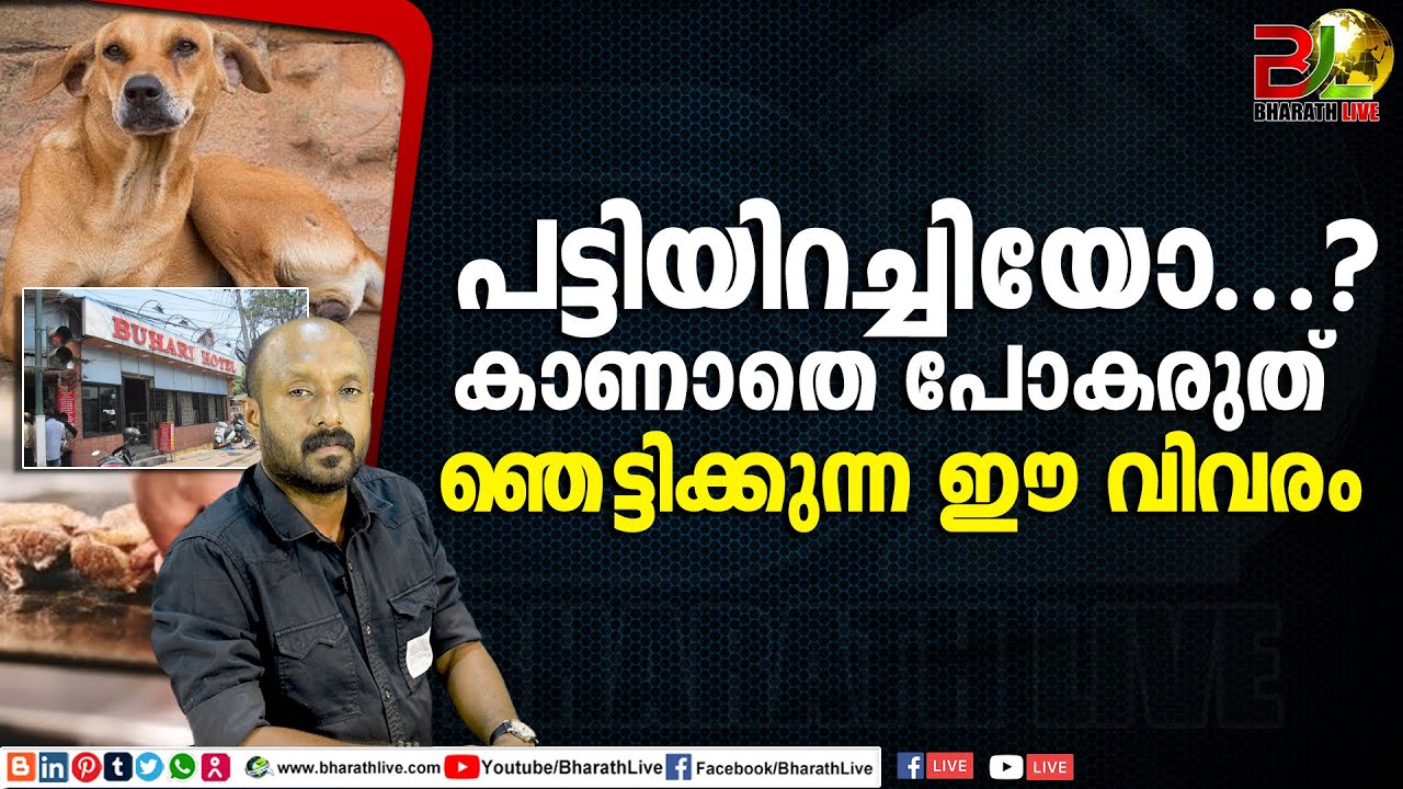പട്ടിയിറച്ചിയോ...?കാണാതെ പോകരുത് ഞെട്ടിക്കുന്ന ഈ വിവരം|meet food|buhari hotel|Bharath Live