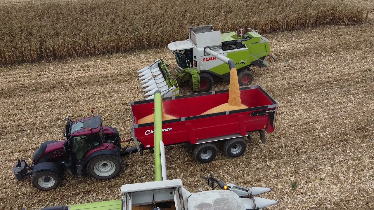 Maïs 2021 ETA L'HAVEANT /4 batteuses CLAAS/Cotes D'Armor/Bretagne